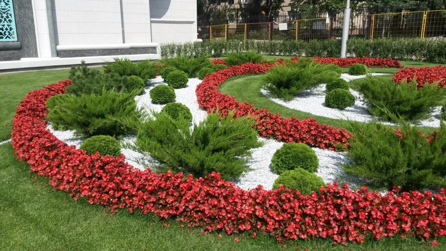 Ландшафт клумбы