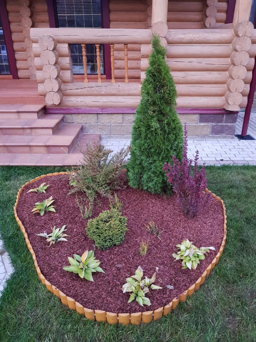 Красивые клумбы с туями