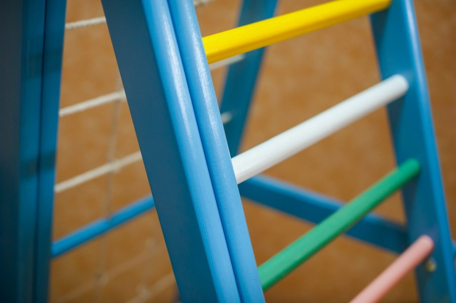 Бэби чемпион ДСК