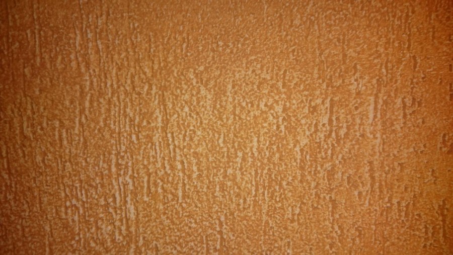 Короед текстура