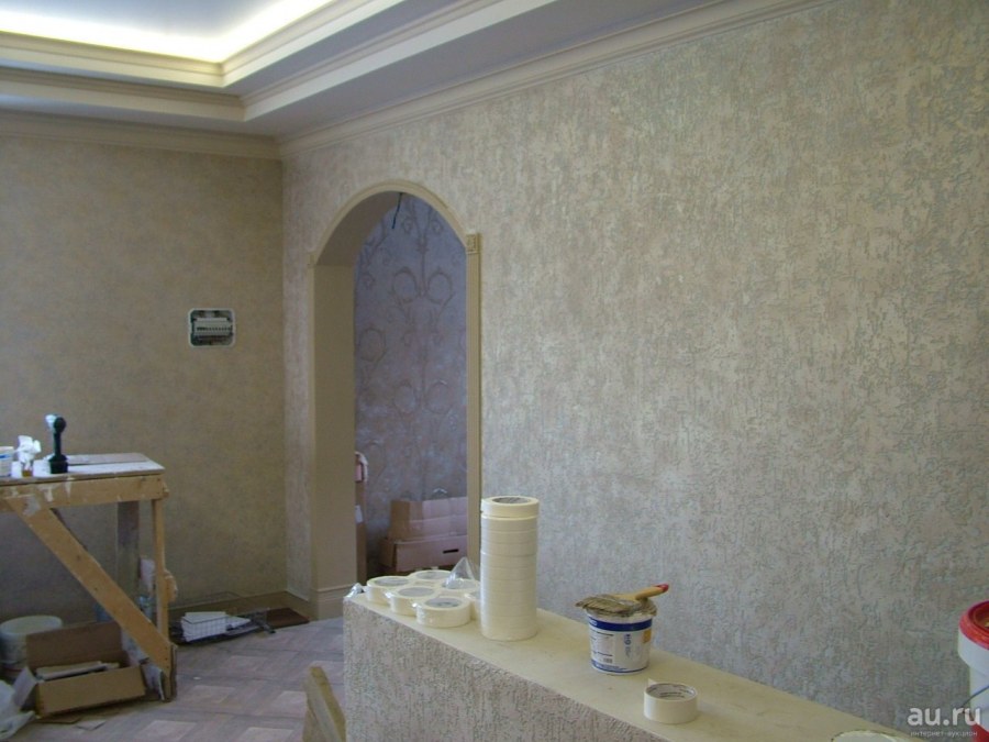 Короед венецианка