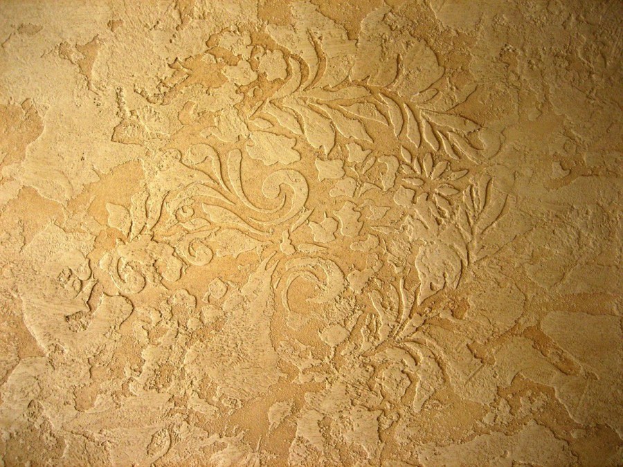 Короед венецианка