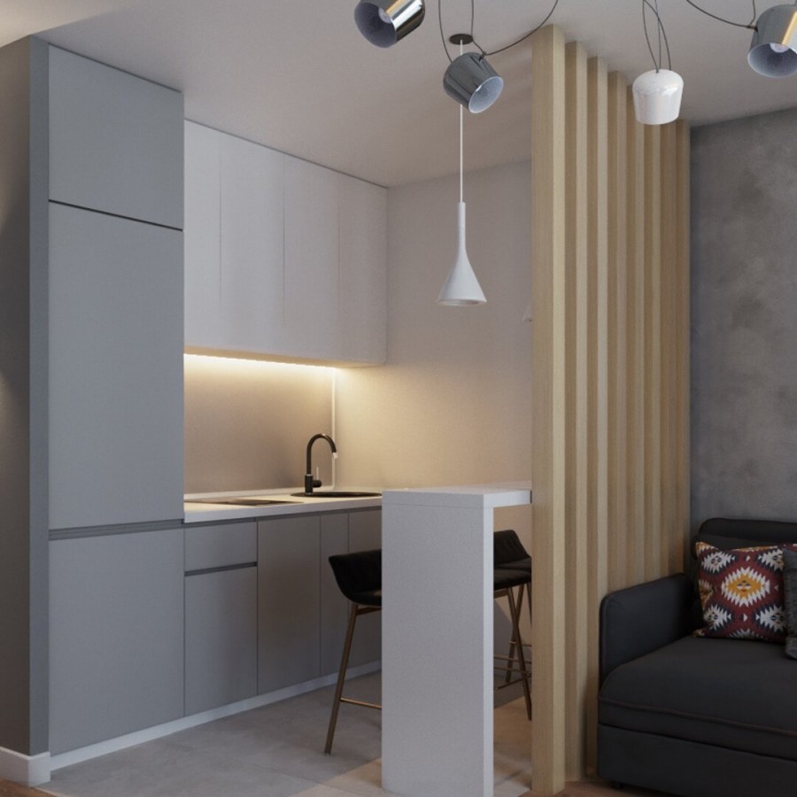 Деление квартиры на студии