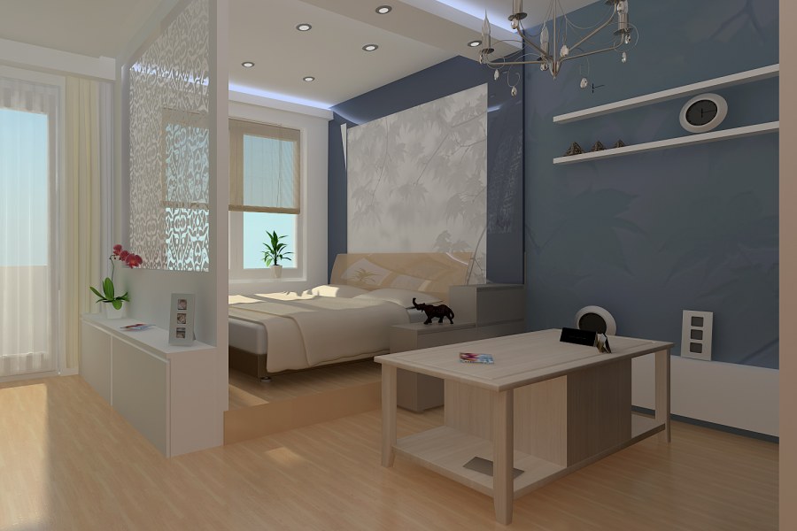 Перегородка в студии