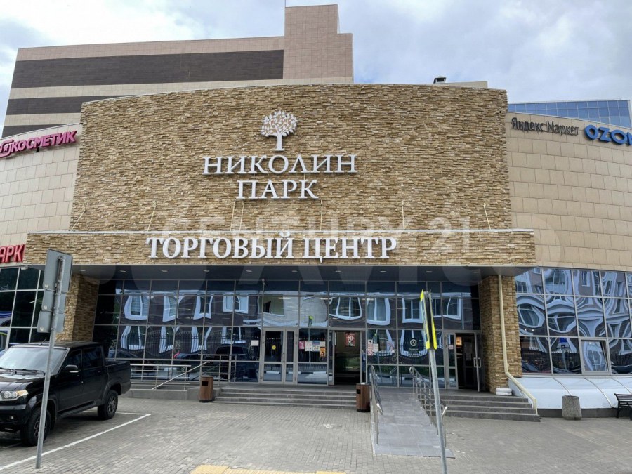 Дмитрий альпин Николин парк