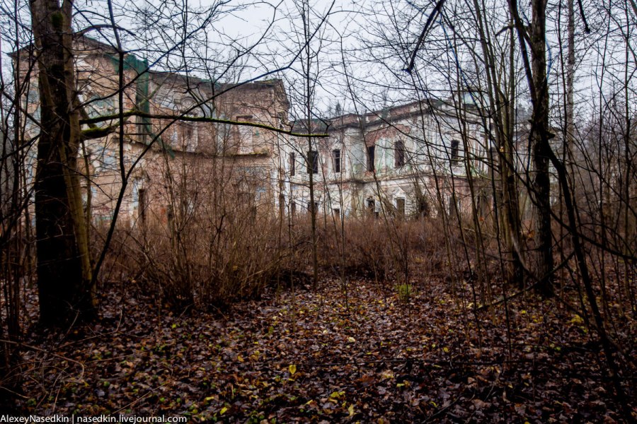 Усадьба Никольское Балашиха