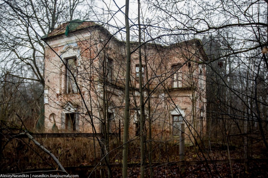 Тихая гавань Бузулук