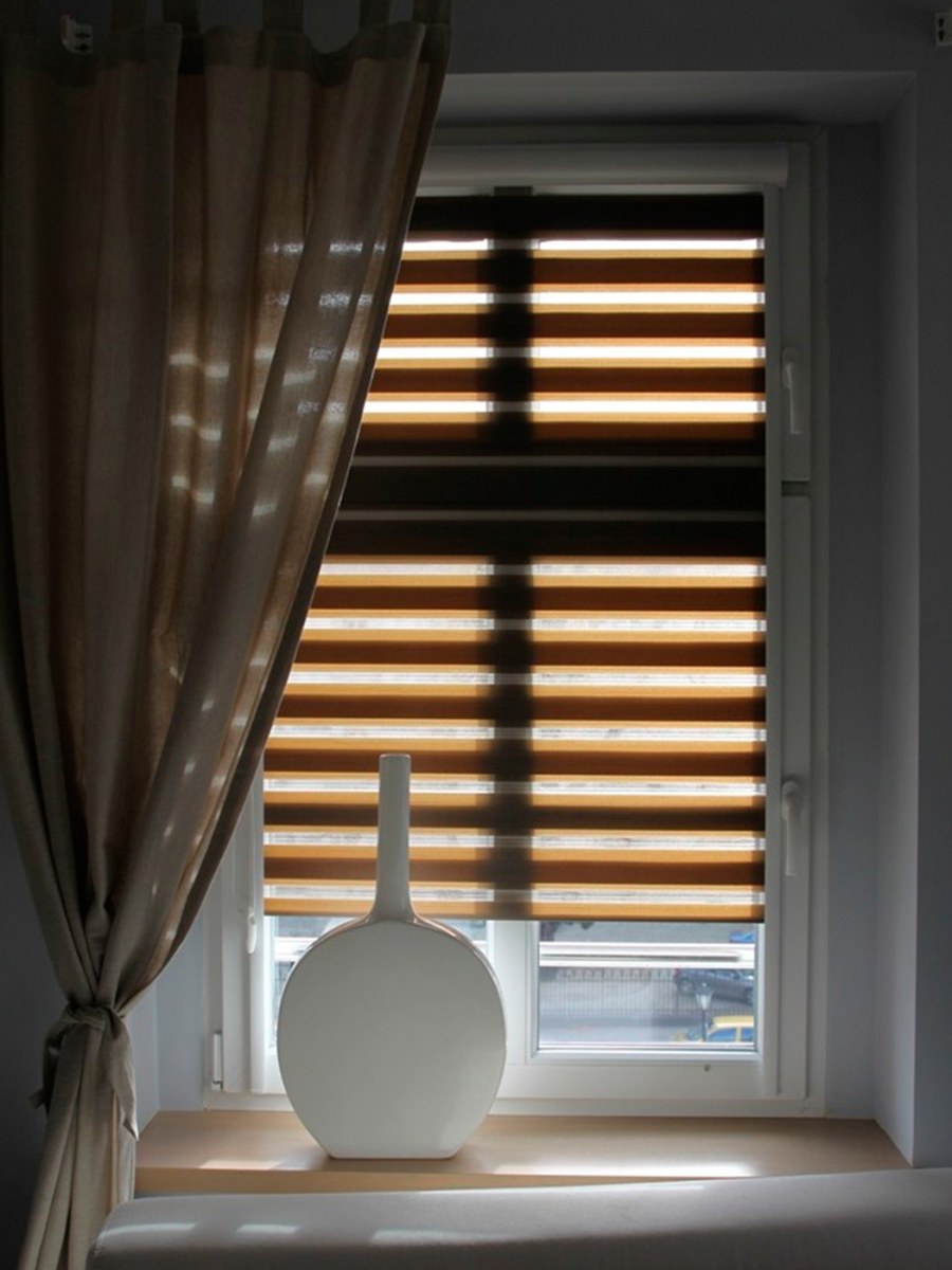 Рулонные шторы день ночь