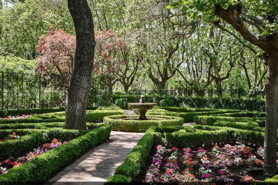 Хелен парк+ ландшафт