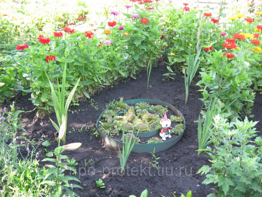 Цветник с бордюрной лентой