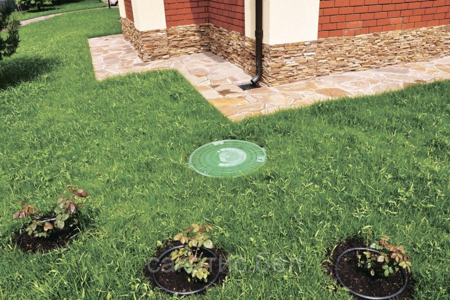 Ландшафтная лента для газона