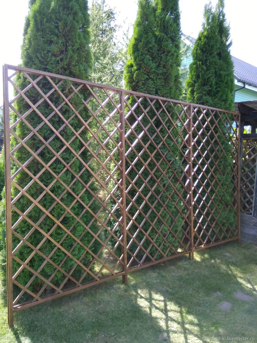 Шпалера на заборе