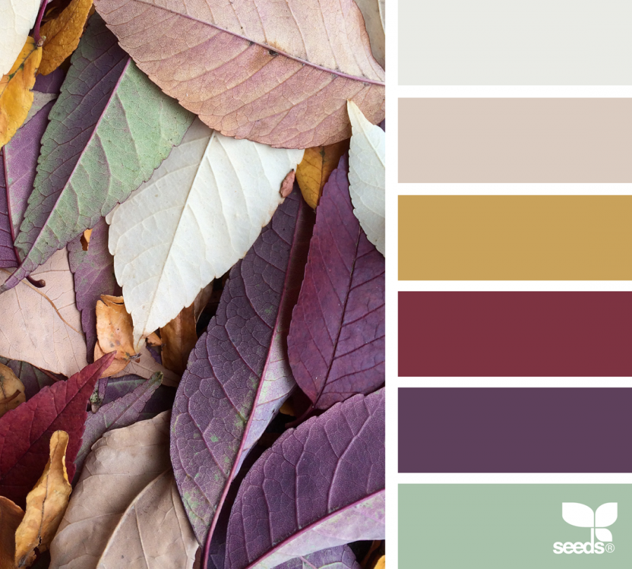 Палитра теплая осень колор Хармони