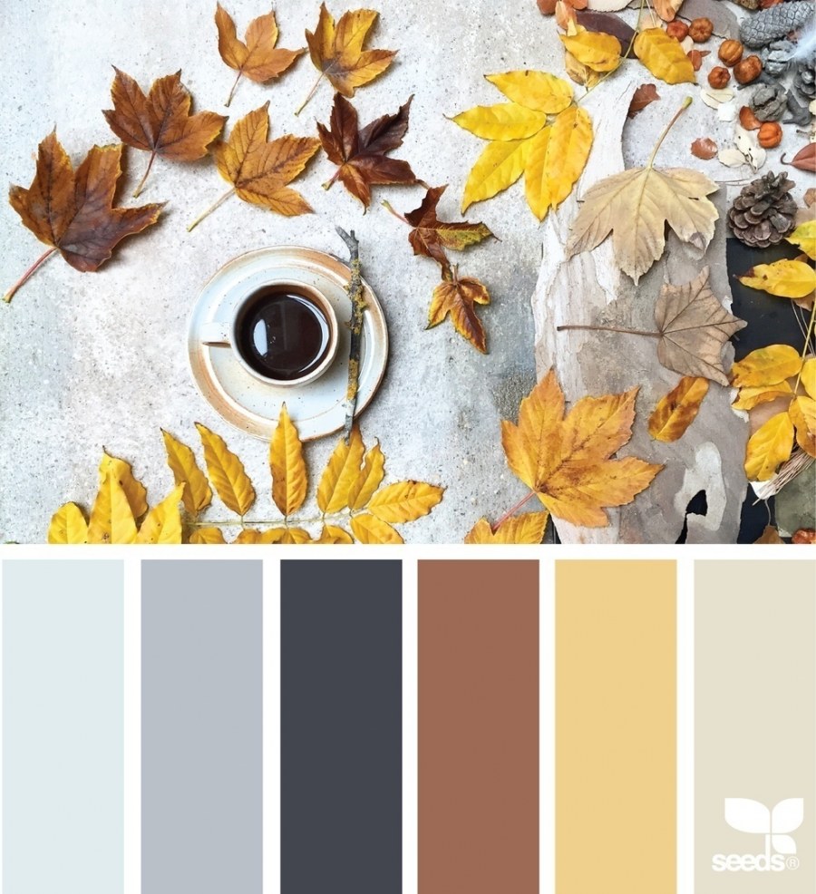 Гостиная в терракотовых тонах