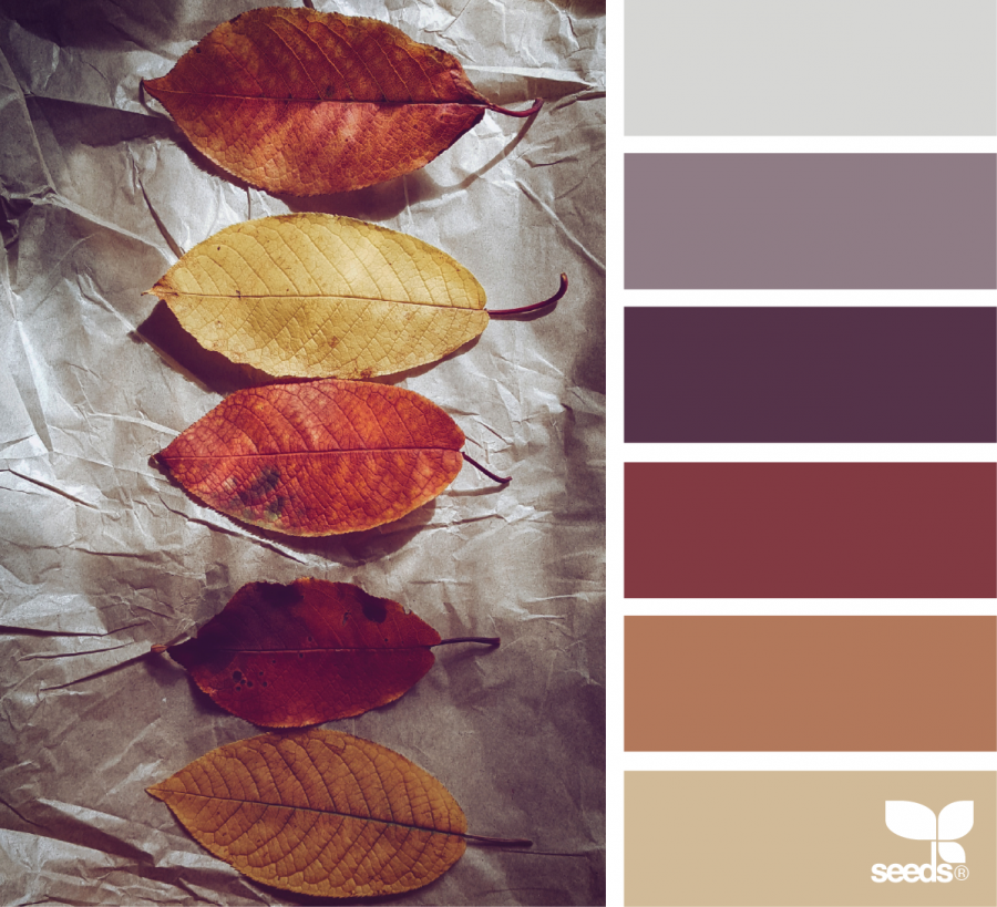 Палитра Seeds терракотовый