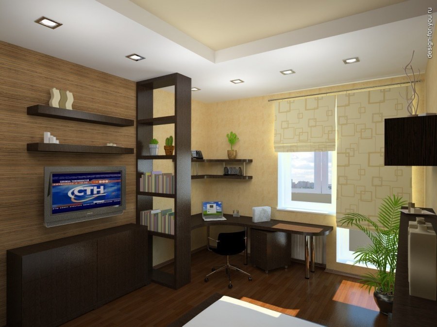 Зонирование гостиной и кабинета