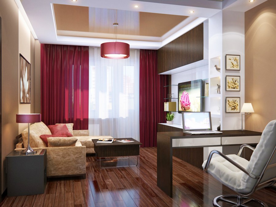 Гостиная совмещенная с кабинетом