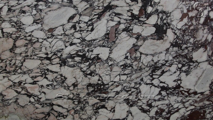 Calacatta Viola мрамор