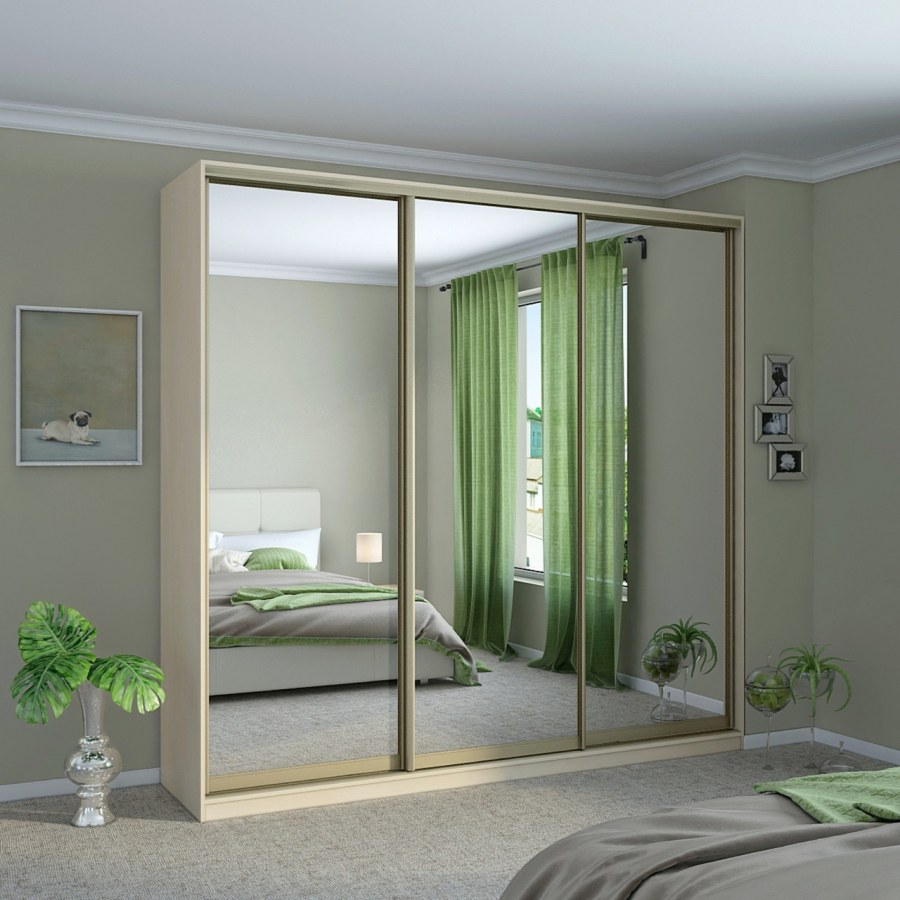 Шкаф-купе Алисия-2