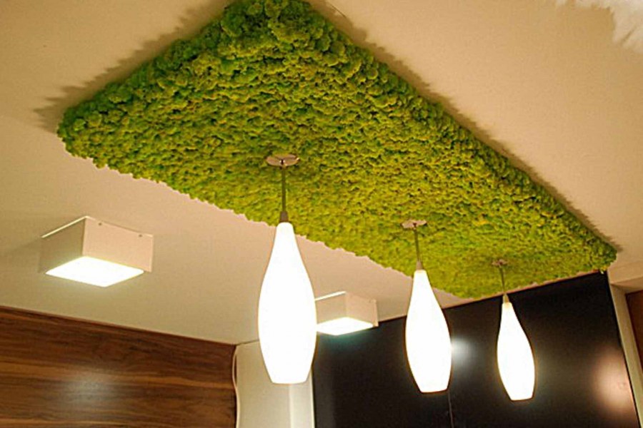 Необычные предметы интерьера