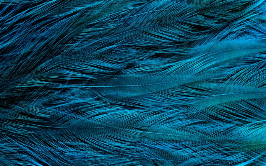 Ткань изумрудного цвета