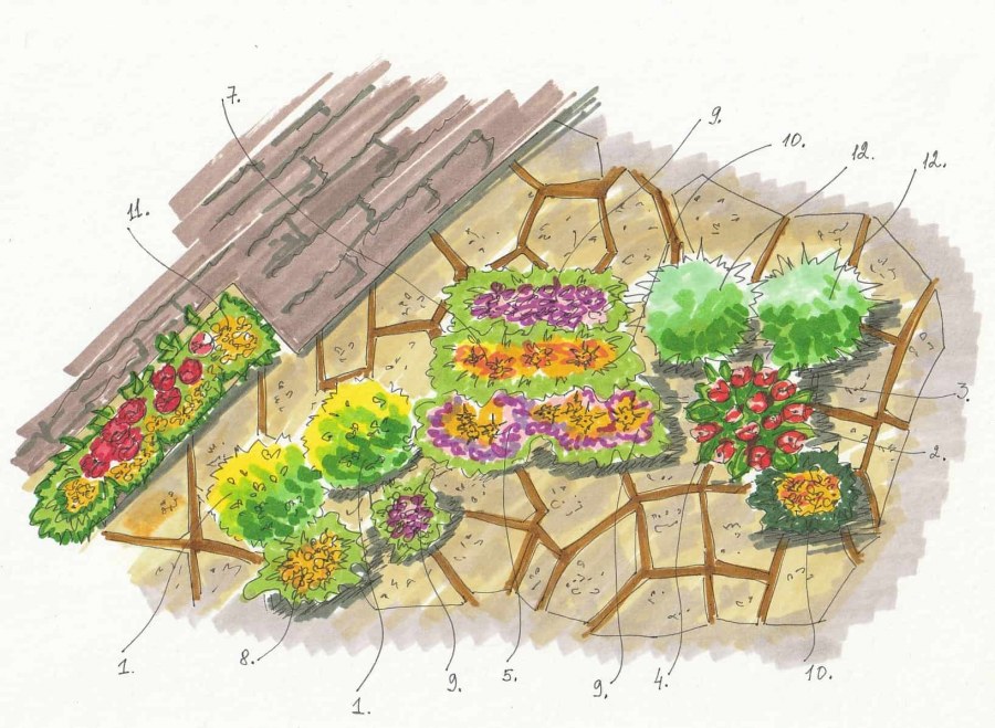 Цветники миксбордеры схемы посадок