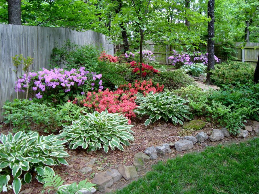 Клумба из луковичных схема