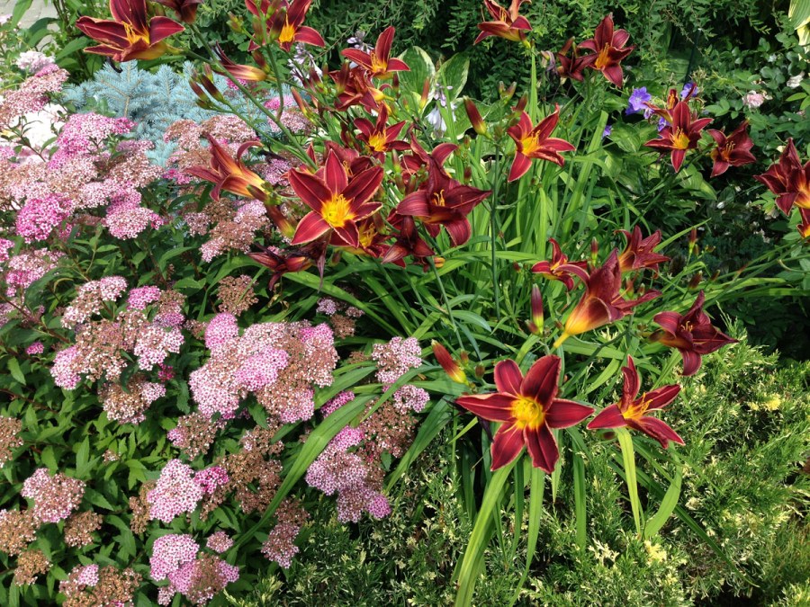 Дизайн дачи своими руками для чайников схема сначала фото