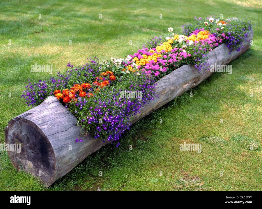 Клумба в виде сердца