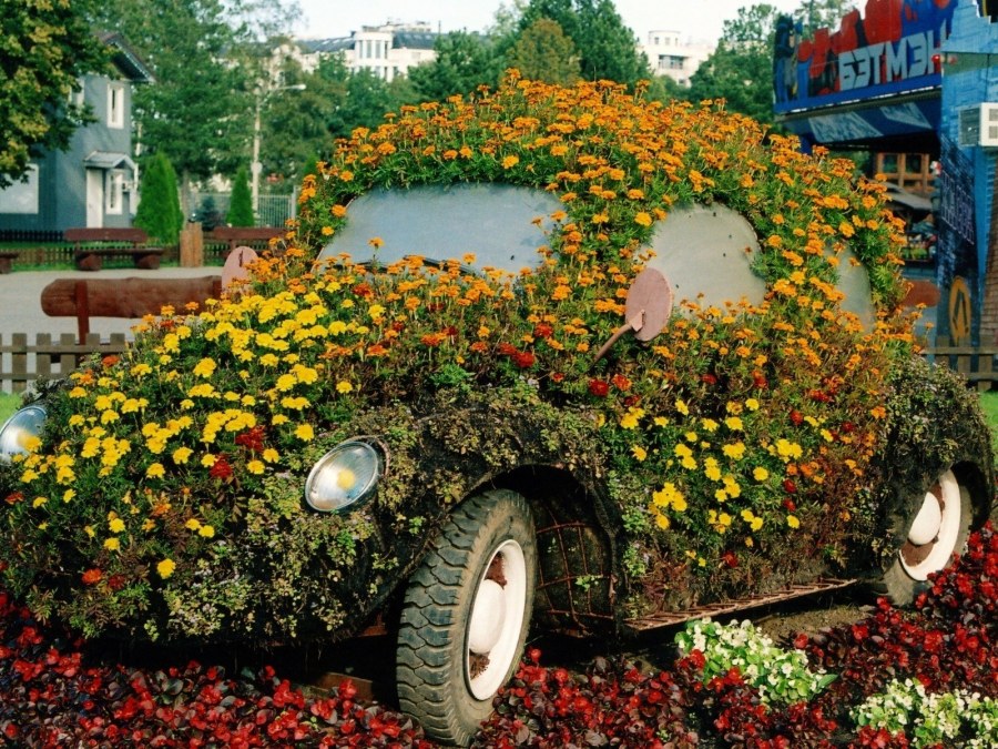 Фигурные клумбы