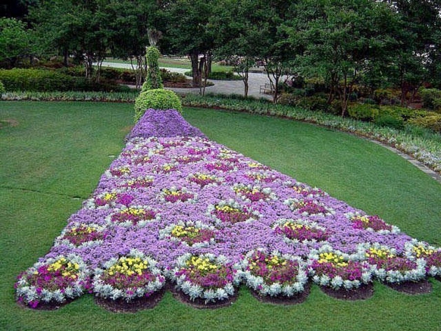 Цветочная клумба Павлин