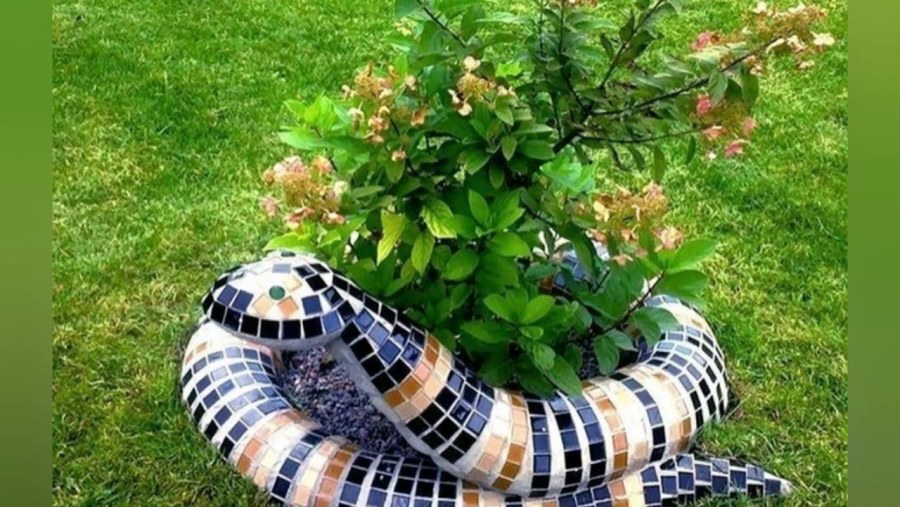 Цветочные композиции на клумбе