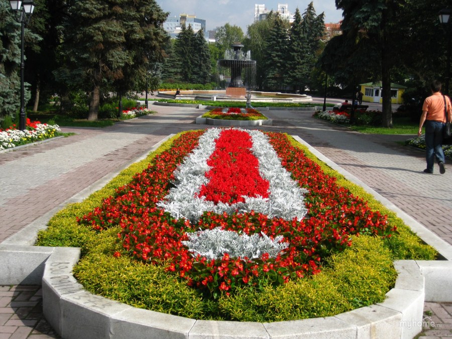 Самый большой букет