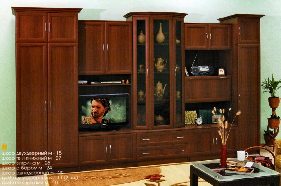 Стенка композиция 10