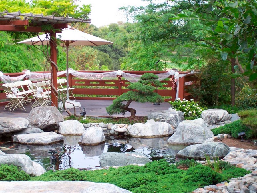 Пруды бонсай Китай