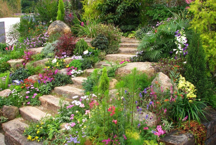 Рокарий розарий