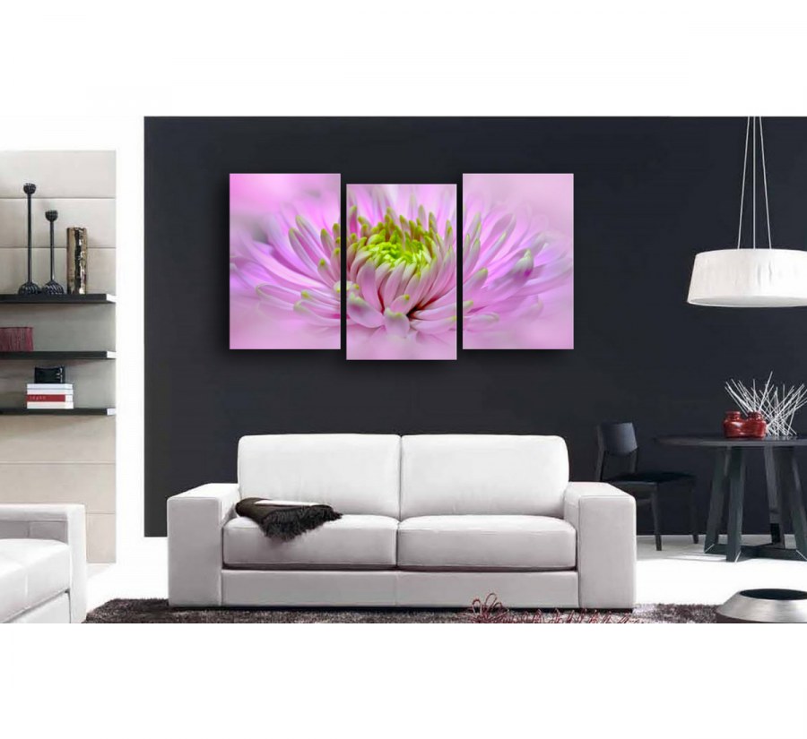 Диван Furninova paso doble