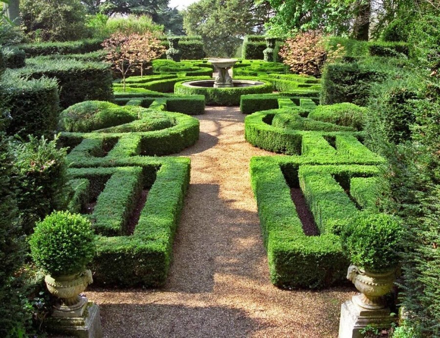 Топиарное искусство Версаль Франция