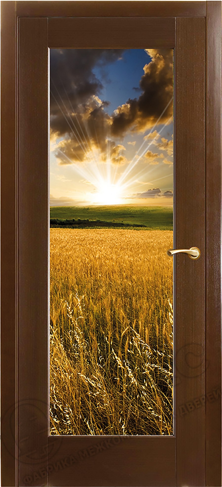 Межкомнатные двери с фотопечатью