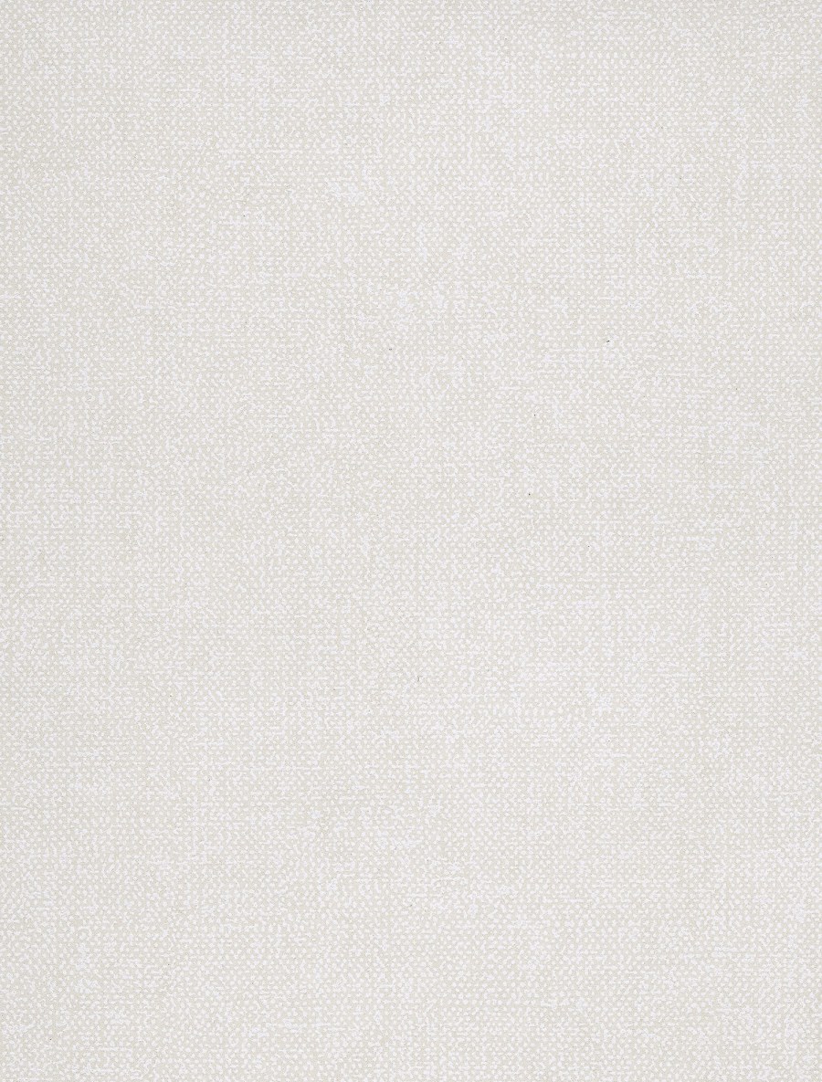 Скиф 801 латиница белая