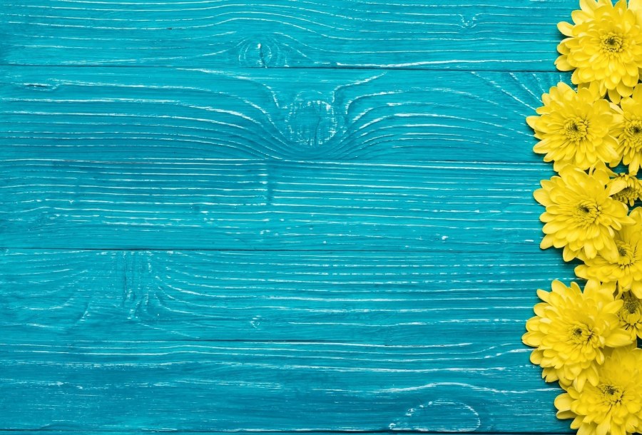 Желто голубой фон