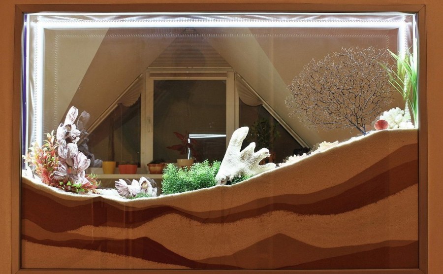 Сухой аквариум в интерьере