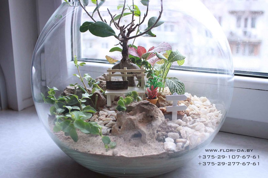 Флорариум мини сад
