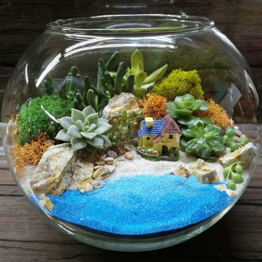 Сухой аквариум круглый