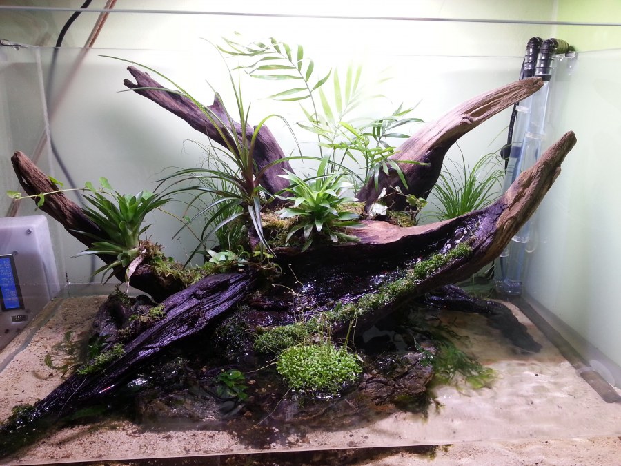 Сухой аквариум в интерьере