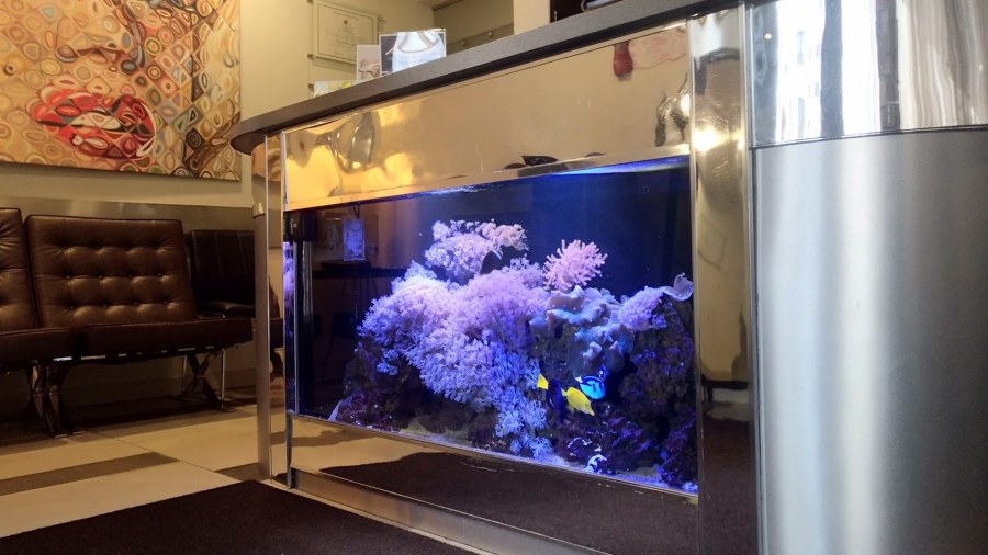 Аквариум BIORB Flow 15 led