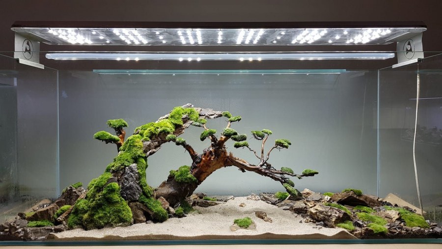 Новогодний декор в аквариуме