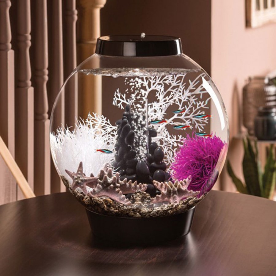 Марсилия акваскейп