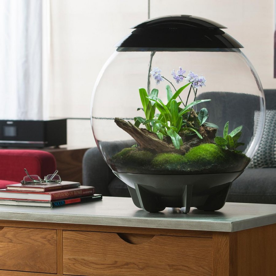 Флорариум дикий Запад