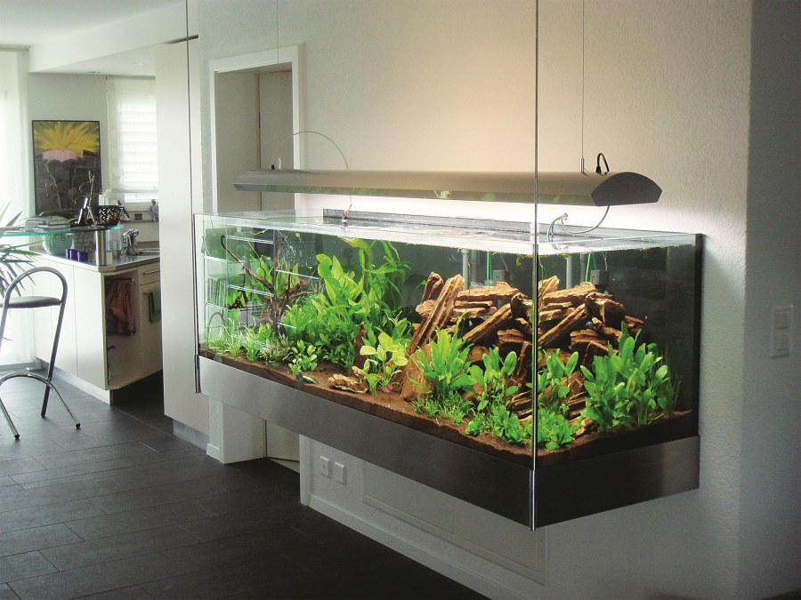 Олег Мацевич акваскейпер